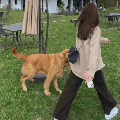 终极斗士4