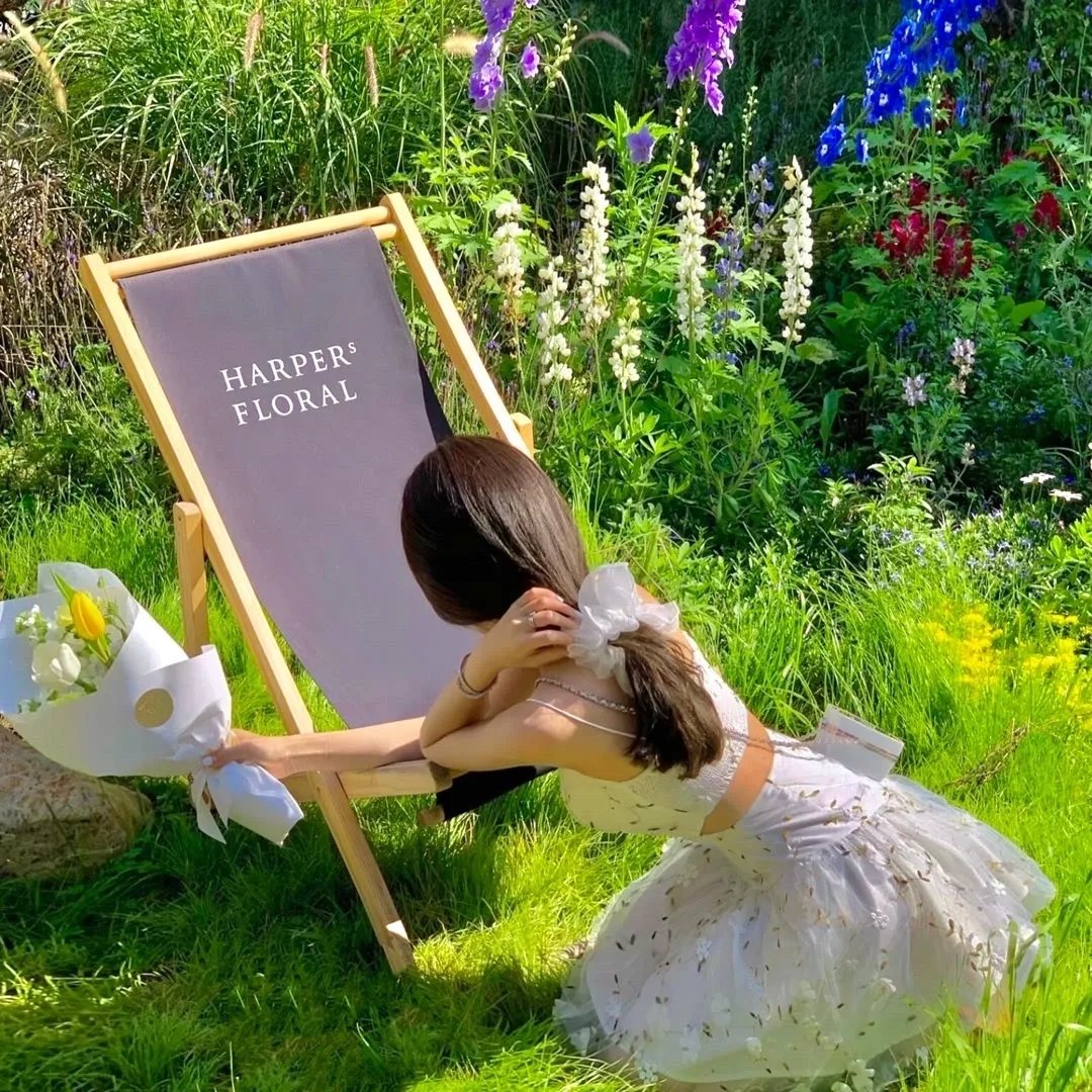 马背法庭之阿巴嘎黑马